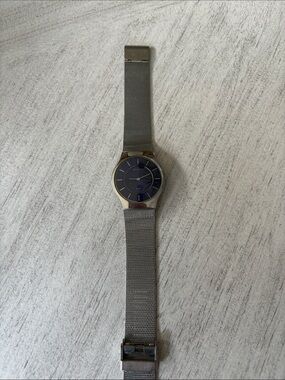 Skagen Silver Mesh Watch with Blue Dial. Works but needs a battery.